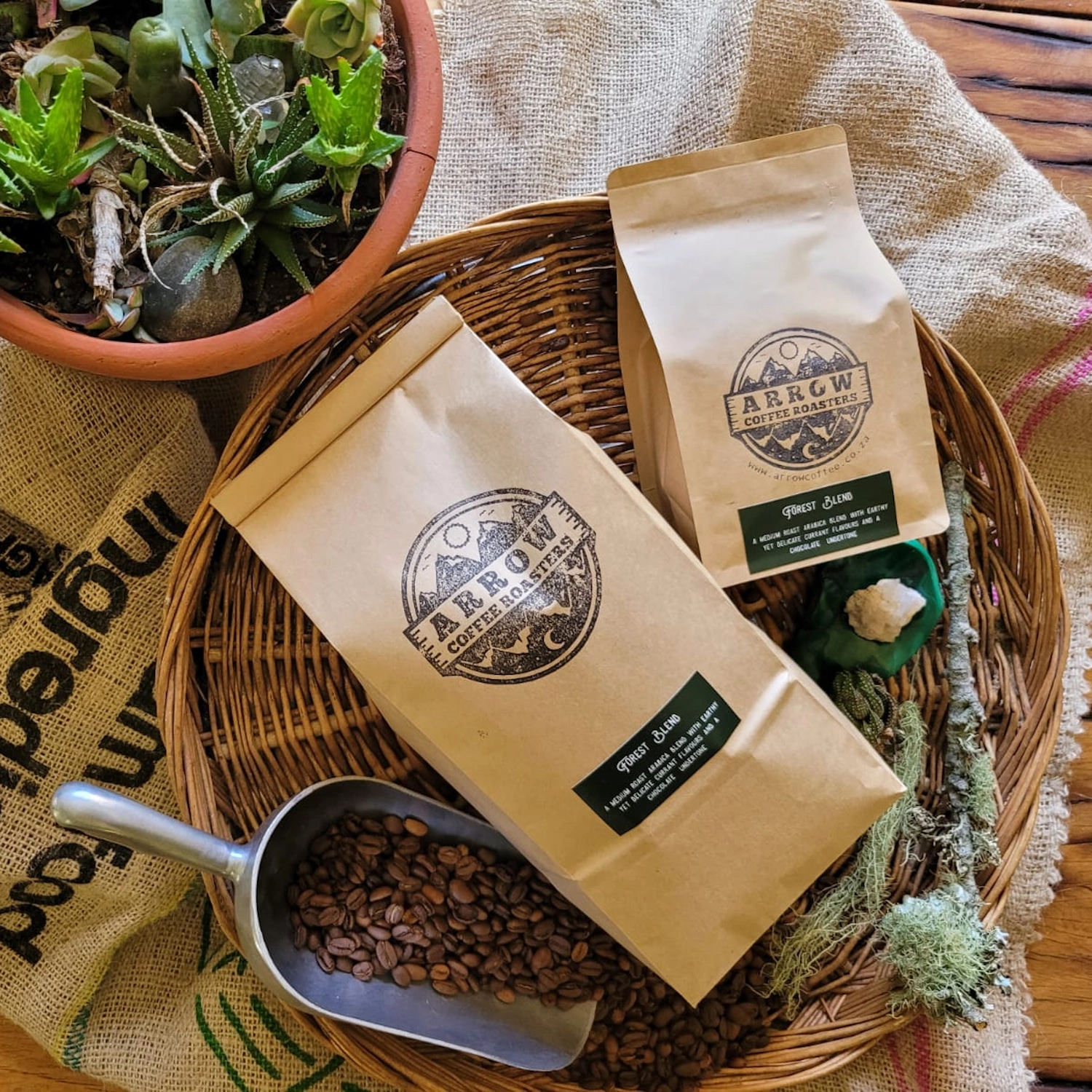 Forest Blend - Signature Blend